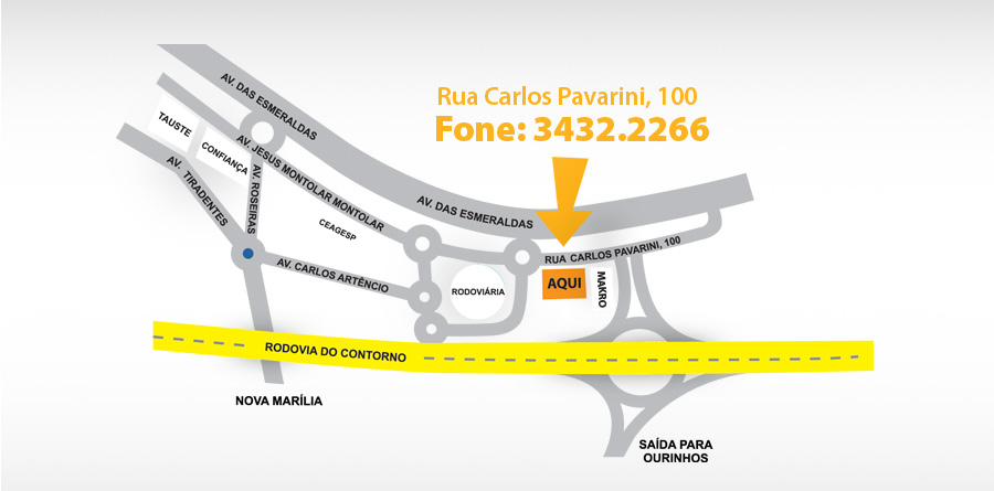 Rua Carlos Pavarini, n&ordm; 100
